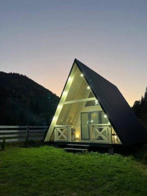 A Frame house Kryvorivnia 2